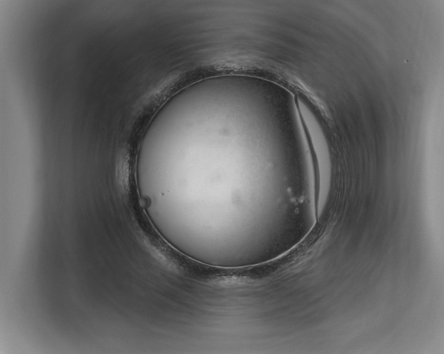 X0000113740637200909231153