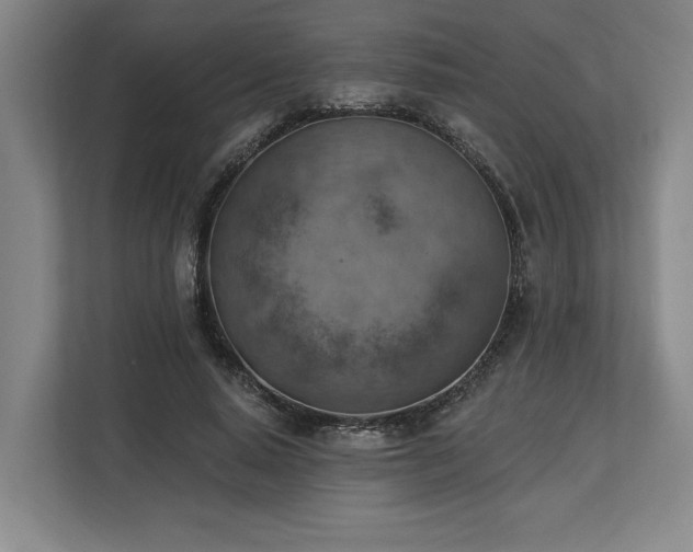 X0000113740640200909231153