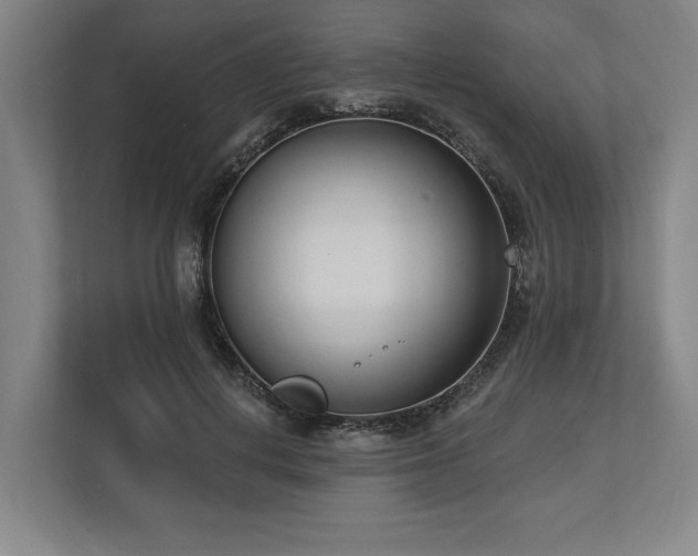 X0000113740648200909231153