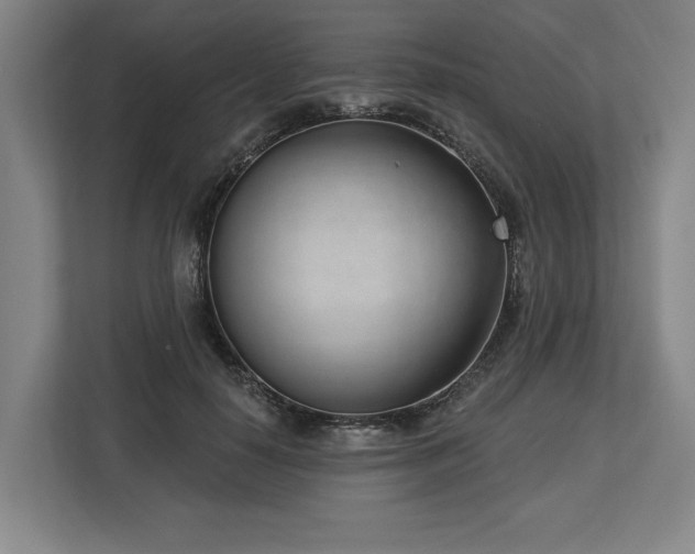 X0000113740650200909231153