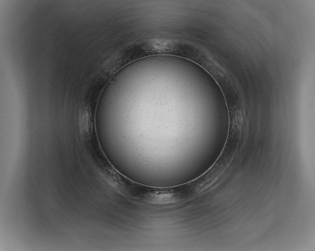 X0000113740651200909231153