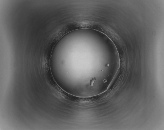 X0000113740653200909231153