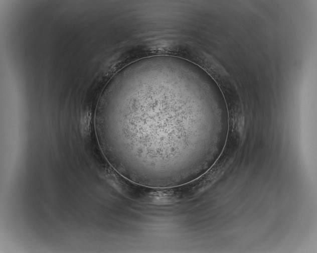 X0000113740660200909231153