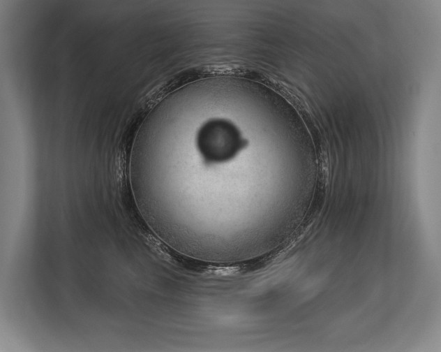 X0000113740665200909231153