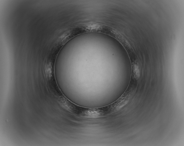 X0000113740668200909231153