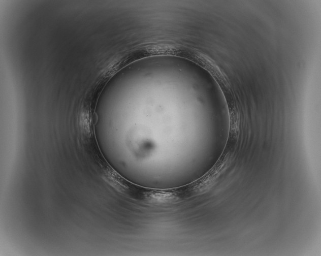 X0000113740669200909231153