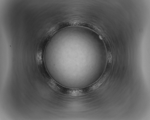 X0000113740670200909231153