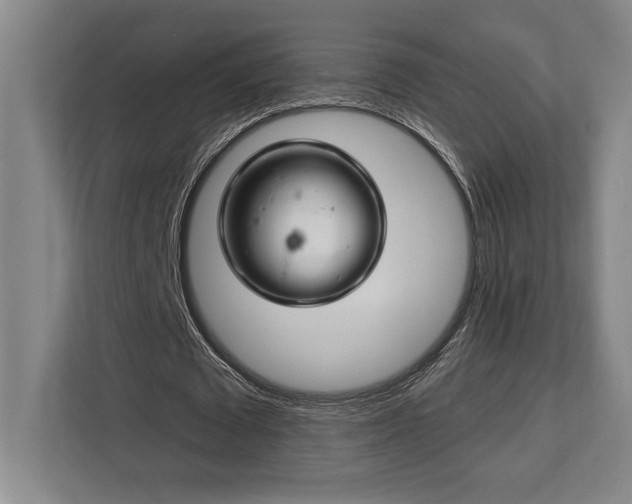 X0000113740673200909231153