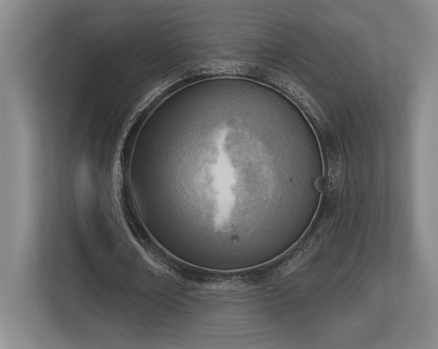 X0000113740674200909231153