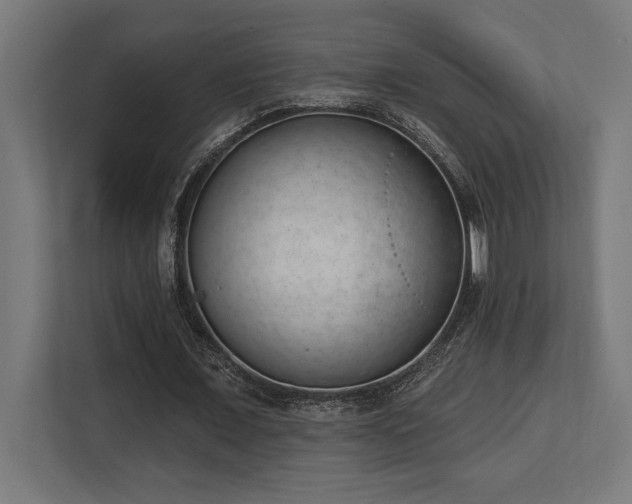 X0000113740675200909231153