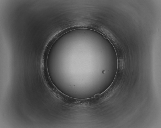 X0000113740676200909231153