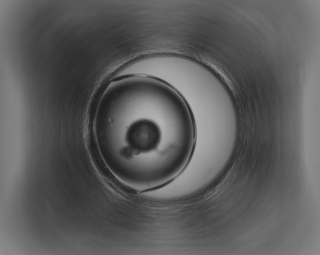 X0000113740677200909231153