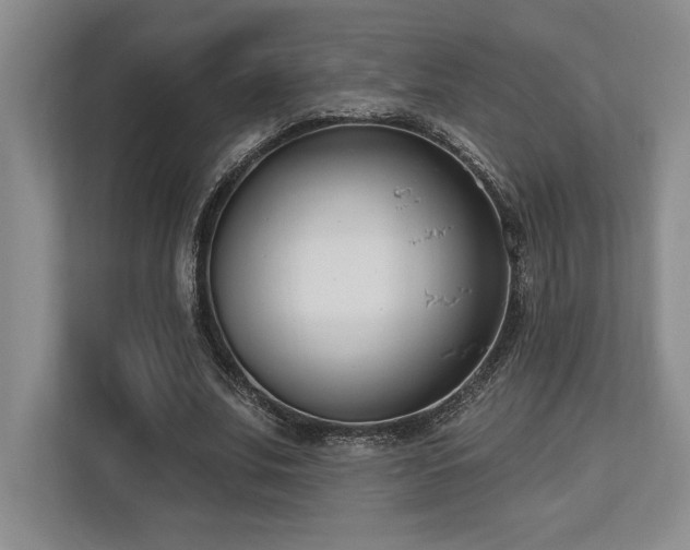 X0000113740679200909231153