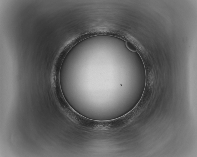 X0000113740680200909231153