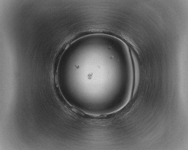 X0000113740681200909231153