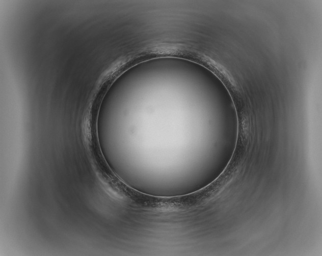 X0000113740682200909231153