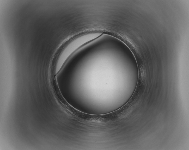 X0000113740684200909231153