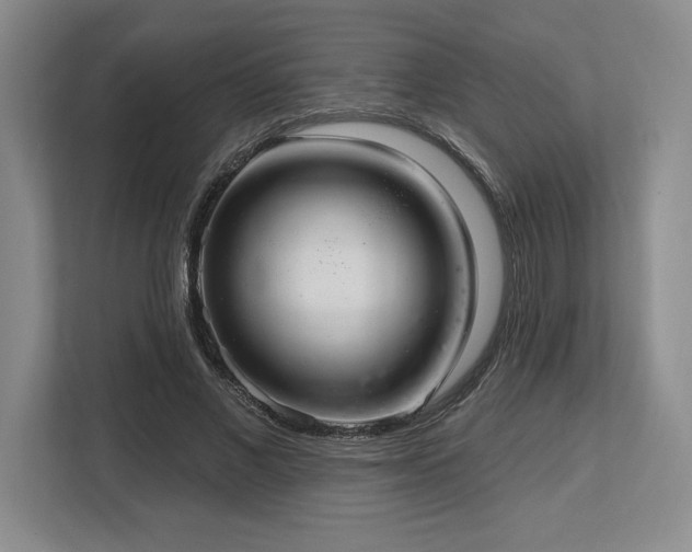 X0000113740685200909231153