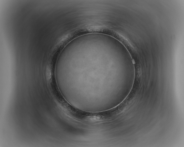 X0000113740687200909231153