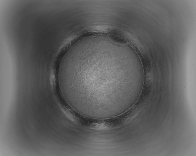 X0000113740688200909231153