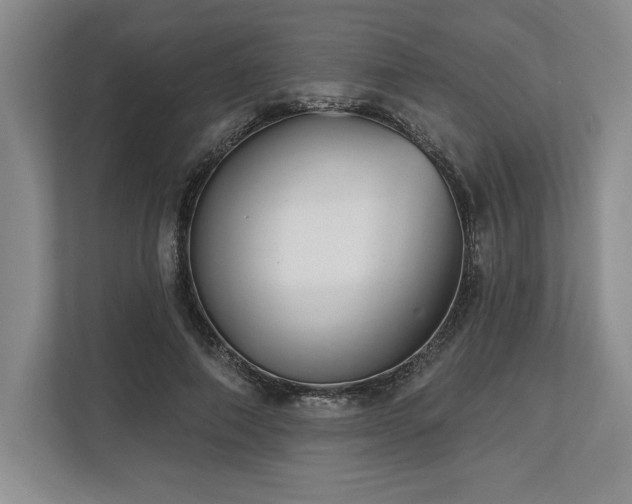 X0000113740690200909231153