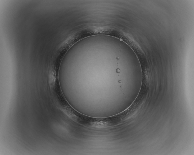 X0000113740691200909231153