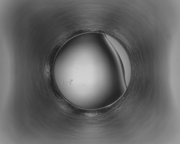 X0000113740693200909231153