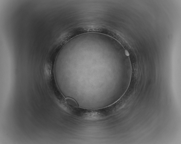 X0000113740695200909231153