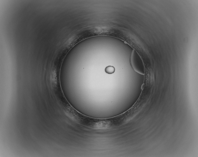 X0000113740700200909231152