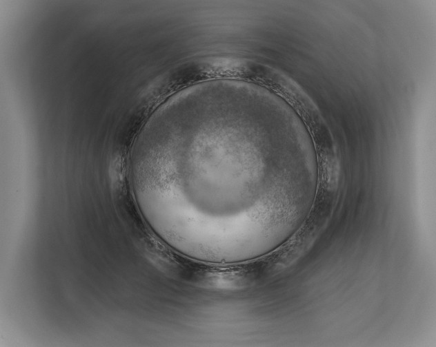 X0000113740701200909231152