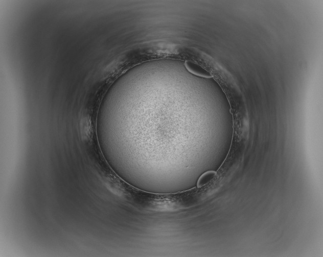 X0000113740704200909231152