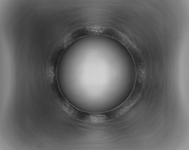 X0000113740707200909231152