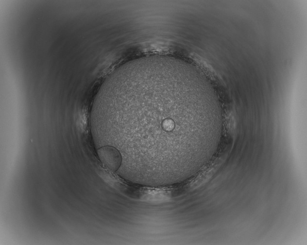 X0000113740709200909231152