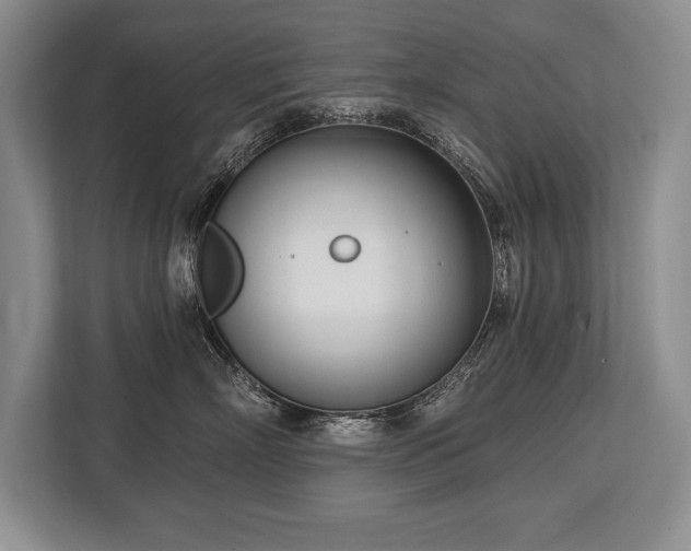 X0000113740718200909231152