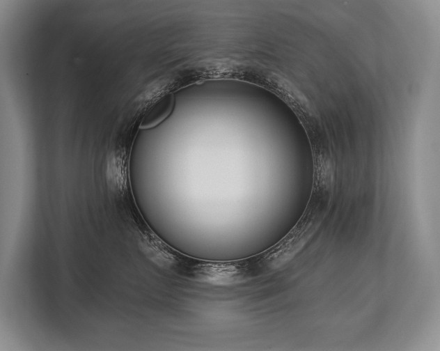 X0000113740719200909231152