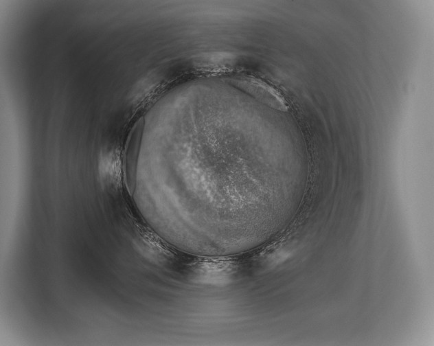 X0000113740720200909231152