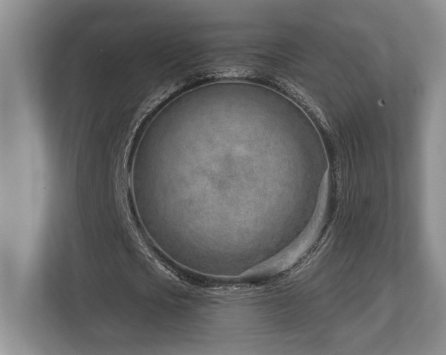 X0000113740721200909231152