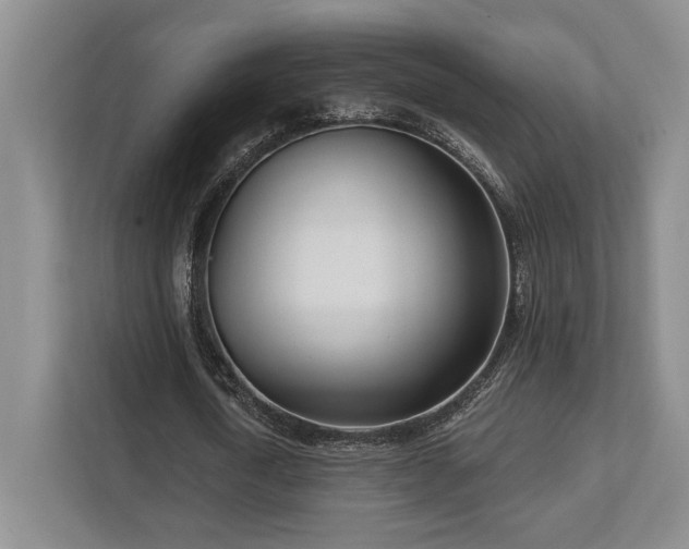 X0000113740722200909231152