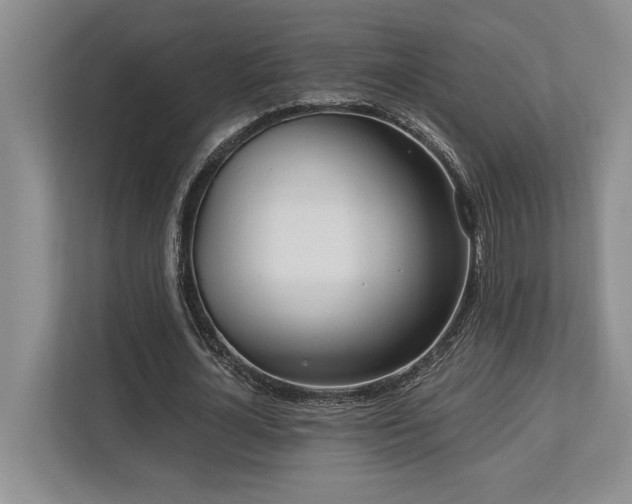 X0000113740724200909231152