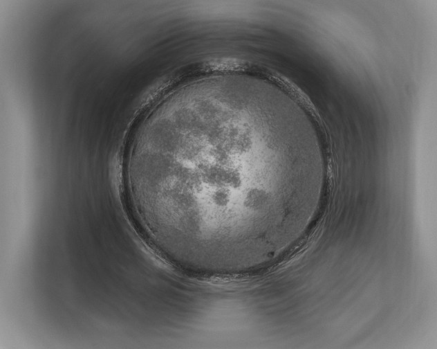 X0000113740725200909231152