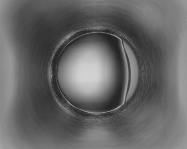 X0000113740726200909231152