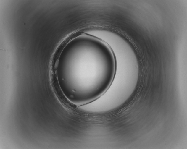 X0000113740728200909231152