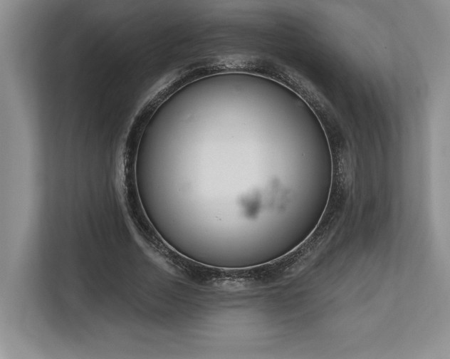 X0000113740730200909231152