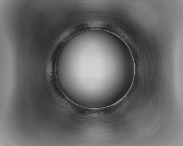 X0000113740731200909231152