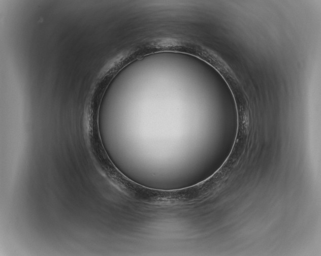 X0000113740732200909231152