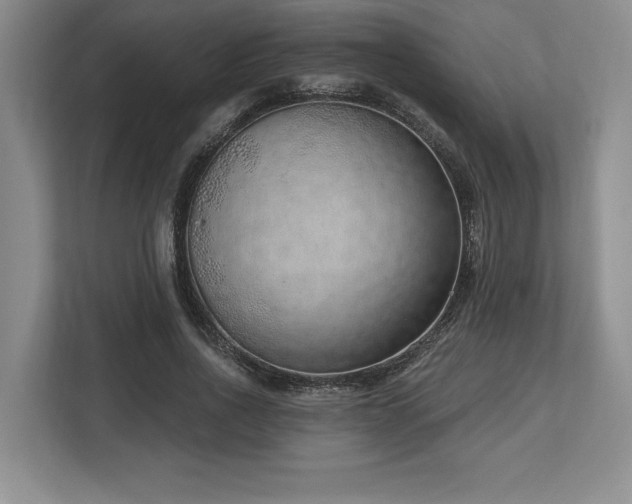 X0000113740734200909231152