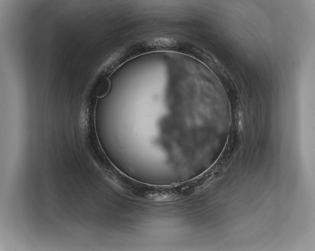 X0000113740735200909231152