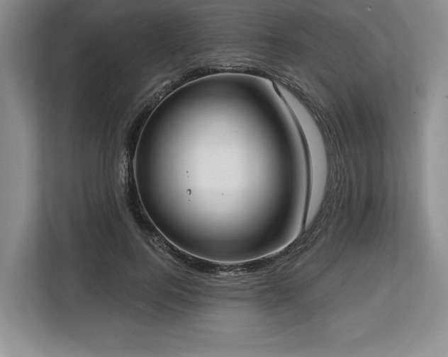 X0000113740744200909231152