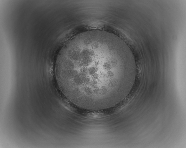 X0000113740745200909231152