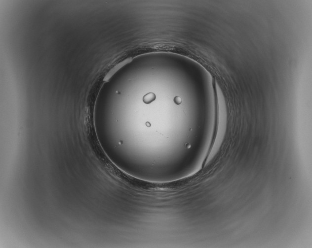 X0000113740748200909231152